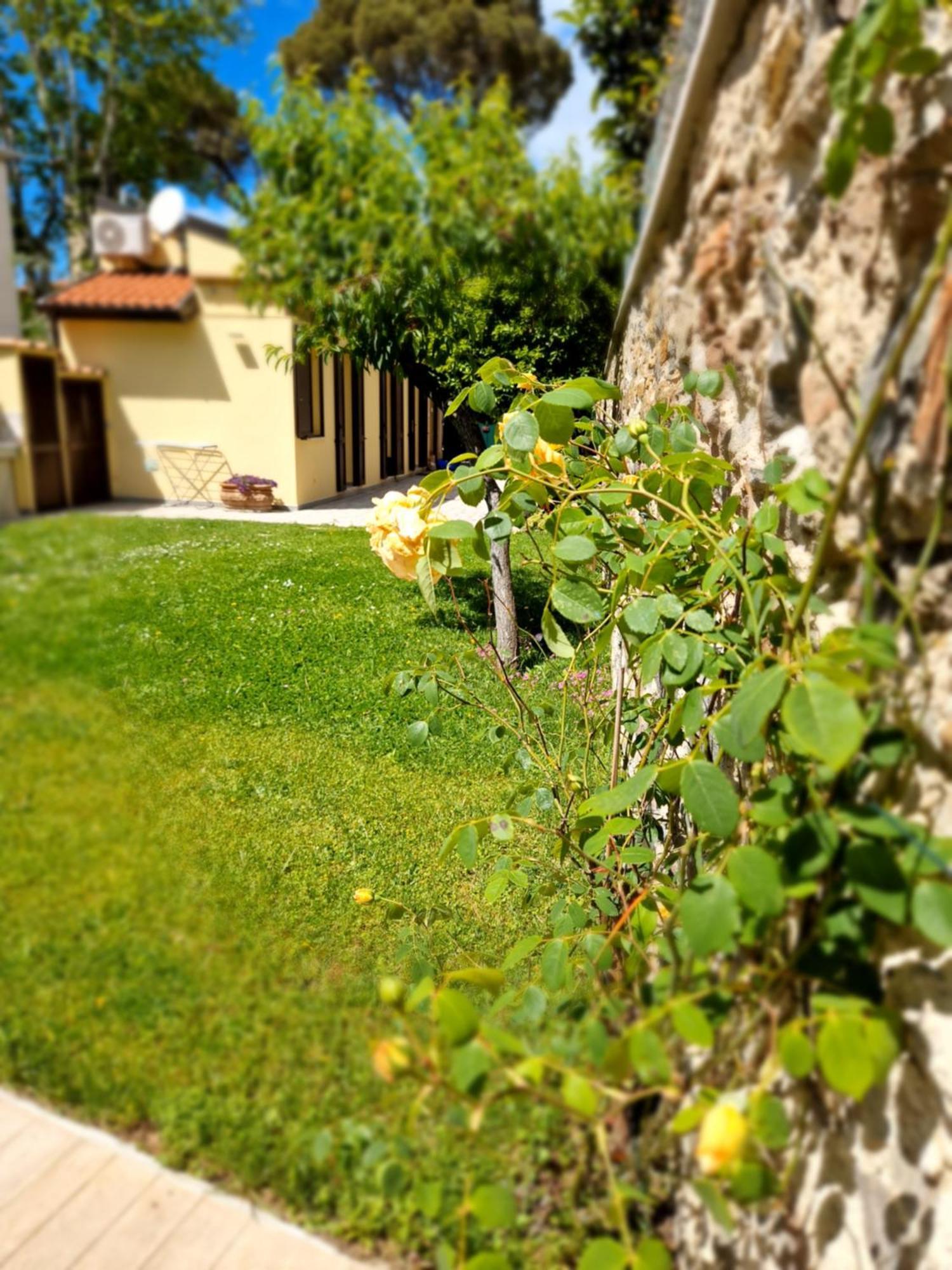Serra Di Mare Casa Con Giardino Ливорно Экстерьер фото